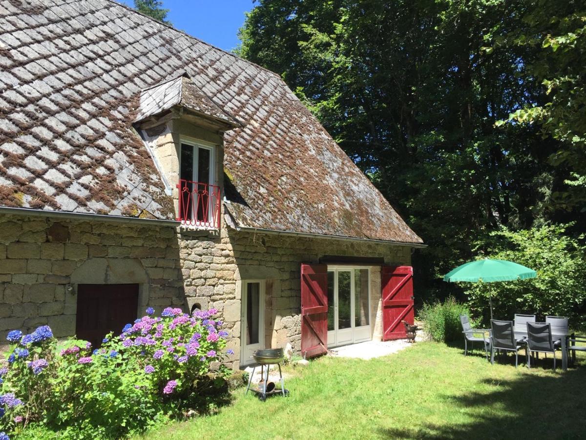 Gites Chateau Le Bois Saint-Julien-aux-Bois Zewnętrze zdjęcie