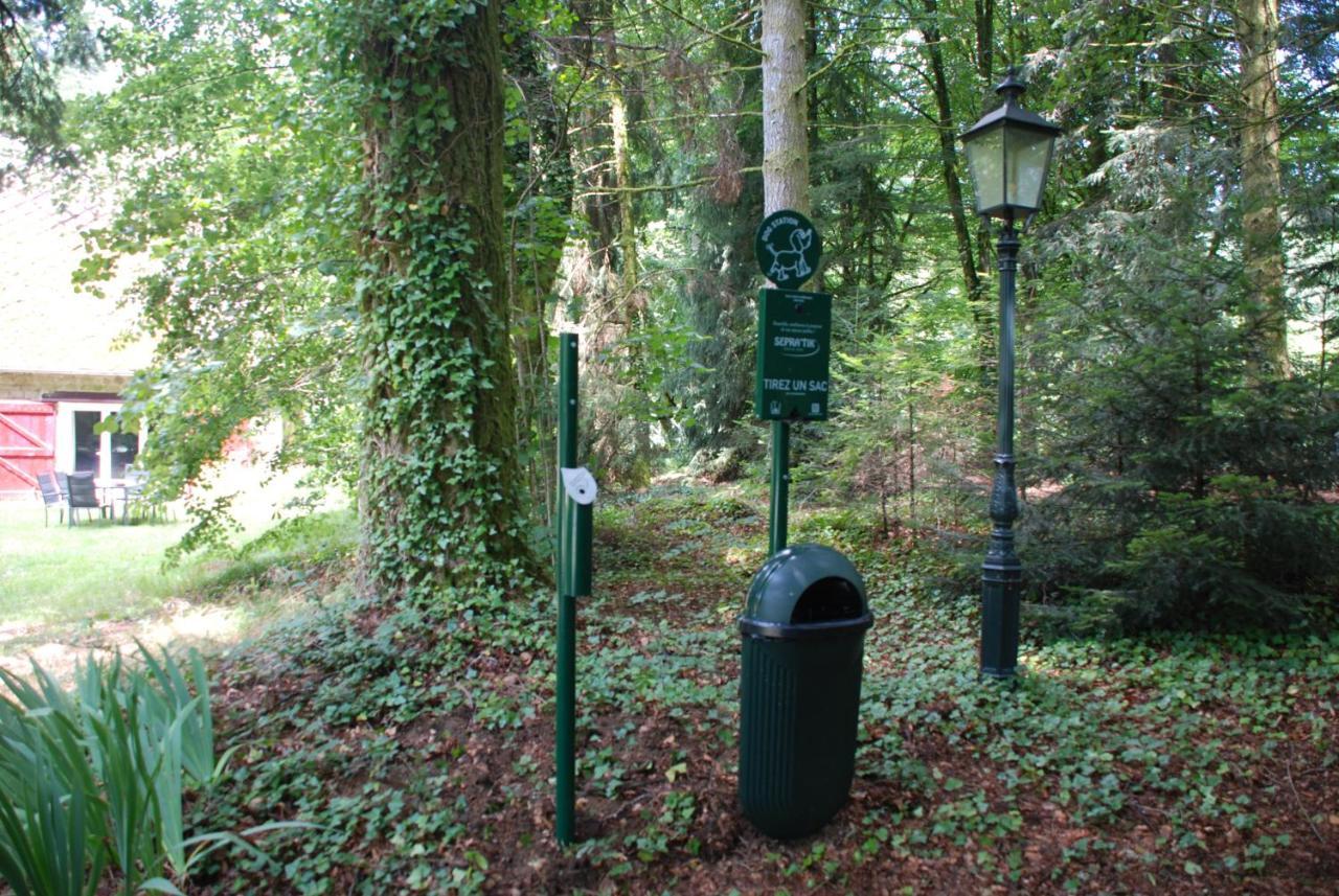 Gites Chateau Le Bois Saint-Julien-aux-Bois Zewnętrze zdjęcie