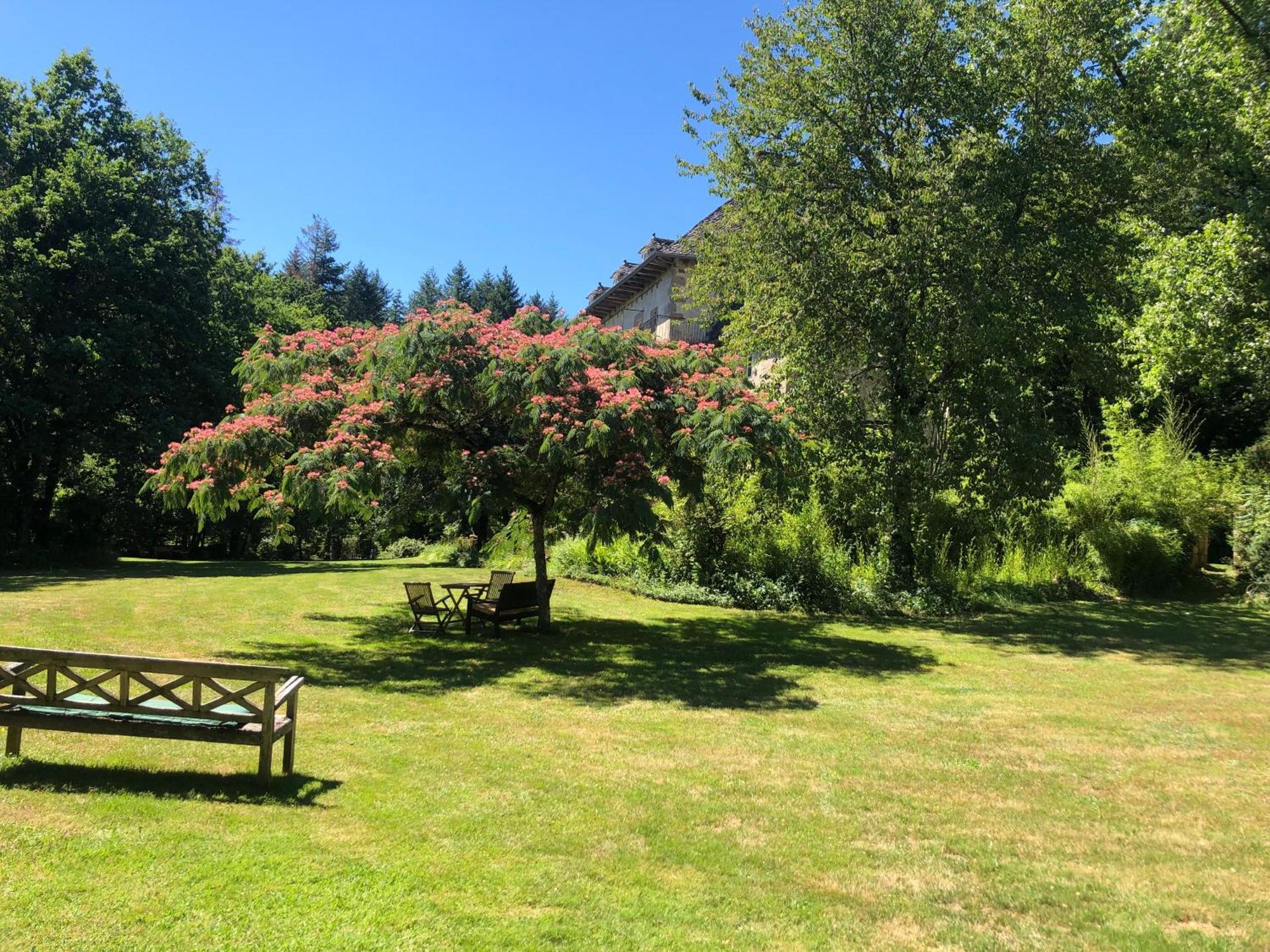 Gites Chateau Le Bois Saint-Julien-aux-Bois Zewnętrze zdjęcie