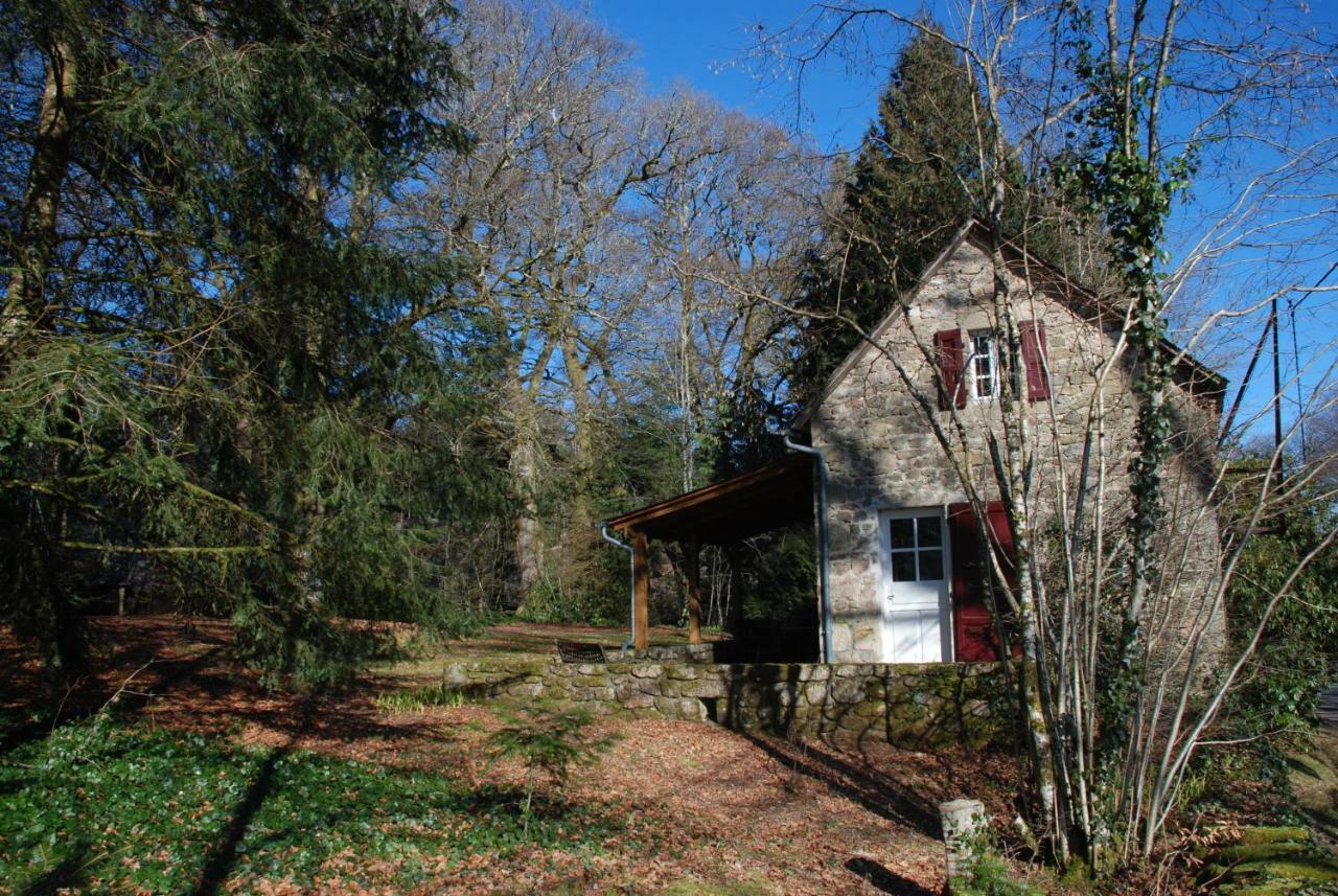 Gites Chateau Le Bois Saint-Julien-aux-Bois Zewnętrze zdjęcie